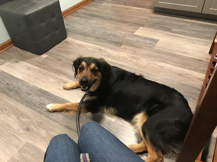 Applebrook Animal Hospital 5
