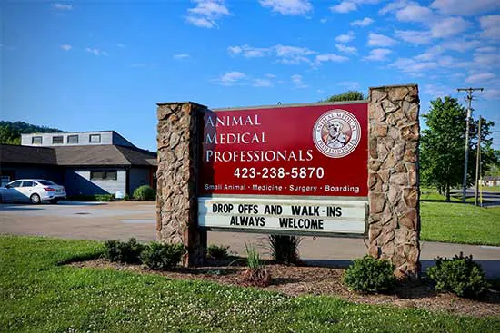 Animal Medical Professionals 7