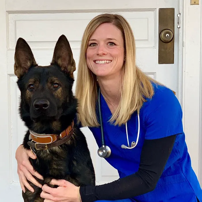 Main Street Veterinary Clinic 2