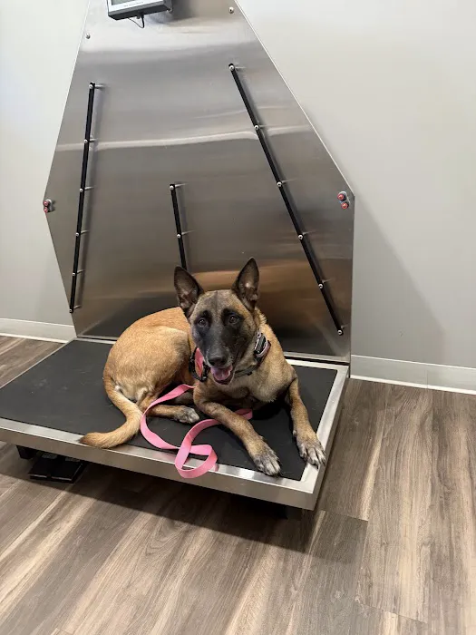 Main Street Veterinary Clinic 8