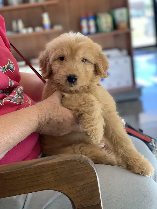 LaFayette Animal Clinic 1