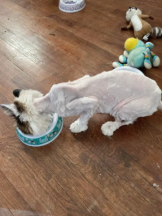 LaFayette Animal Clinic 6