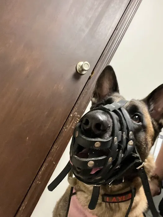 LaFayette Animal Clinic 8