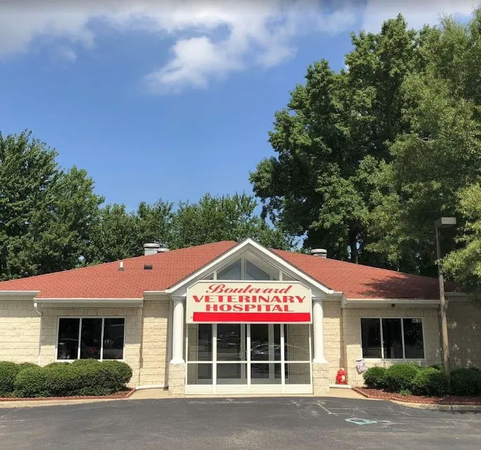 Boulevard Veterinary Hospital 12