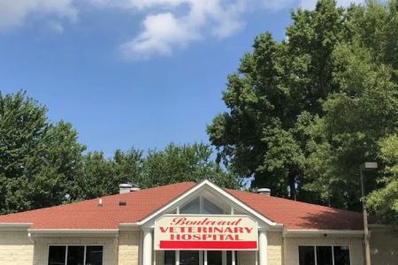 Boulevard Veterinary Hospital