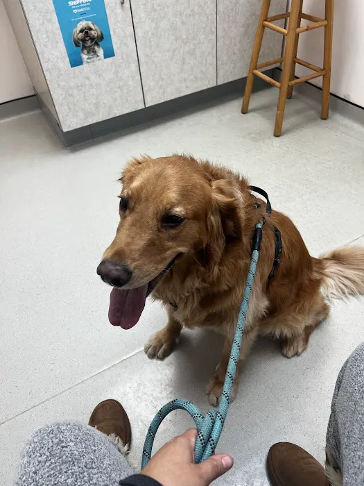 Boulevard Veterinary Hospital 12