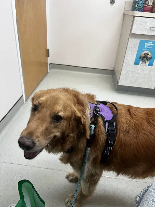 Boulevard Veterinary Hospital 12