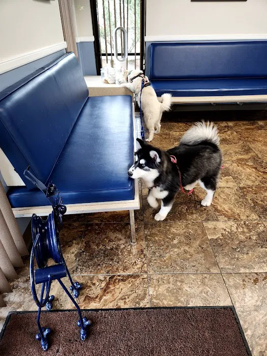Bostic Veterinary Hospital 5