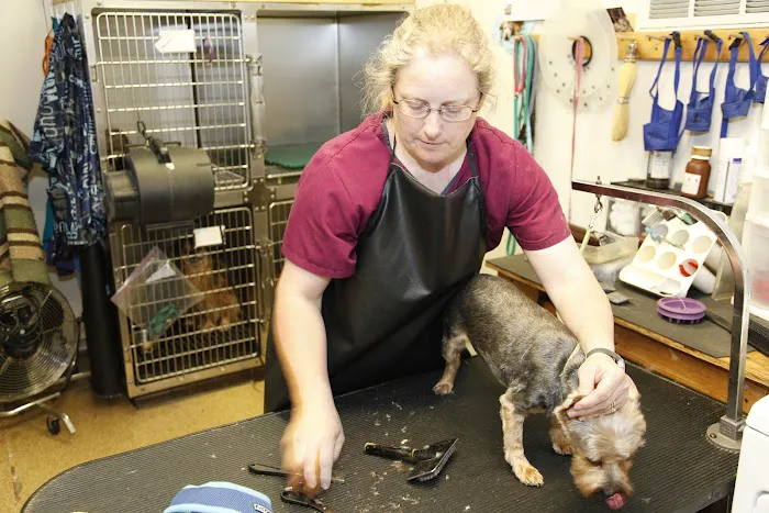 Bostic Veterinary Hospital 8