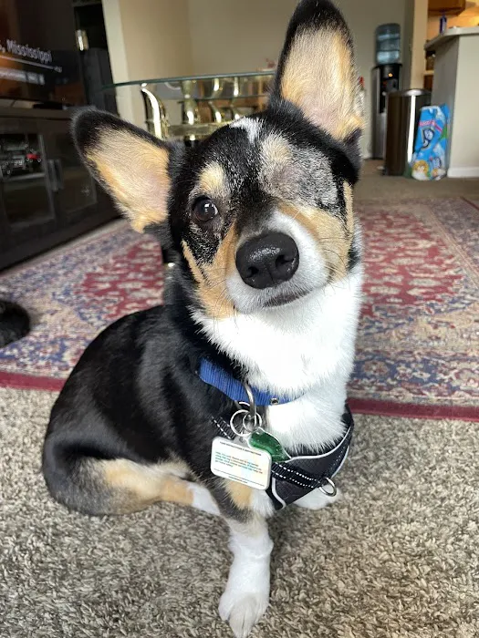 Animal Vision Center of Virginia 12