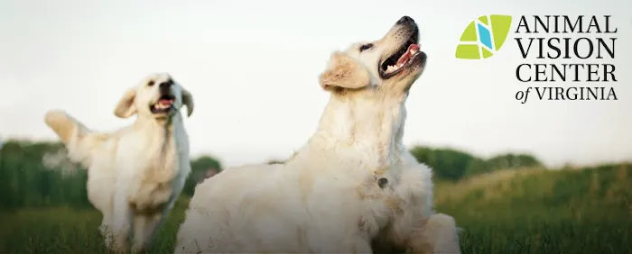 Animal Vision Center of Virginia 12