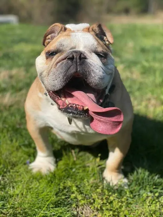 Animal Vision Center of Virginia 12