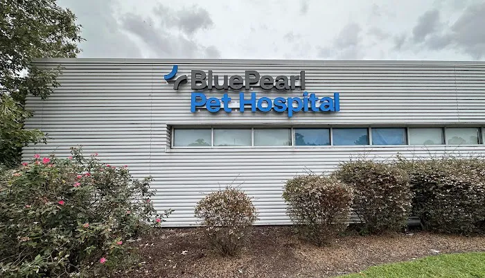 BluePearl Pet Hospital 6