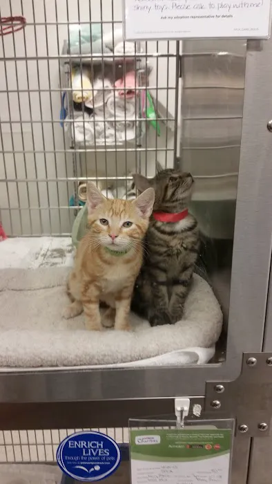 Banfield Pet Hospital 9