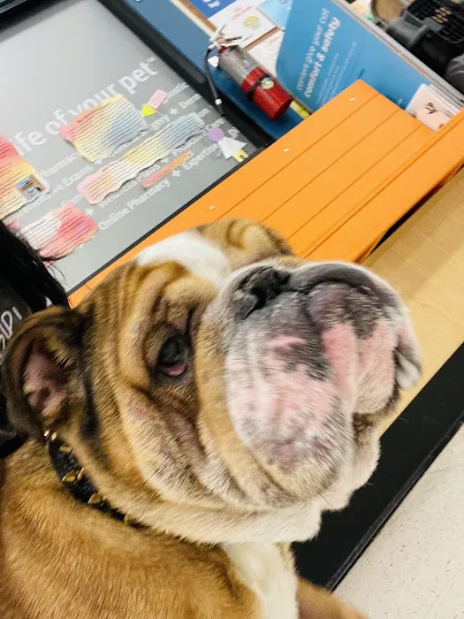 Banfield Pet Hospital 7
