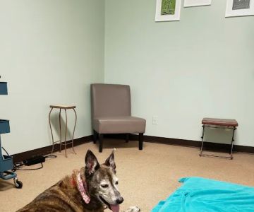 P.A.W.S. for Rehabilitation