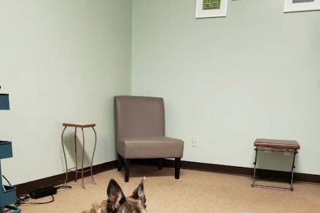 P.A.W.S. for Rehabilitation