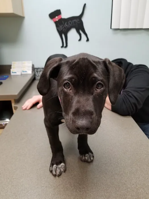 Bay Beach Veterinary Hospital 12