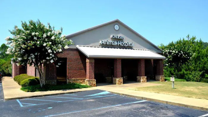 Chelsea Animal Hospital 1