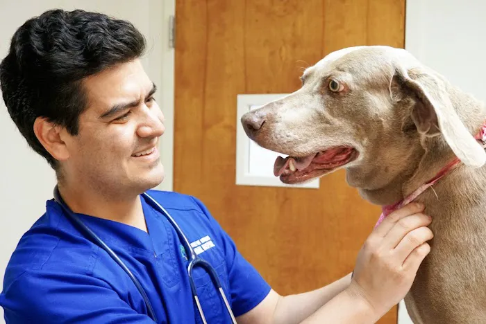 Double Oak Mountain Animal Hospital 1