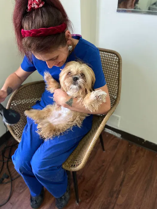 Double Oak Mountain Animal Hospital 2