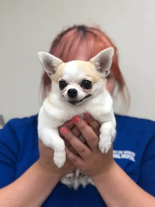 Double Oak Mountain Animal Hospital 7