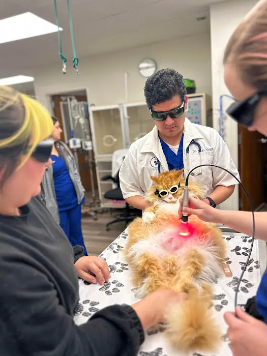 Double Oak Mountain Animal Hospital 4