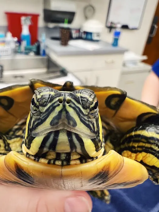 Double Oak Mountain Animal Hospital 8