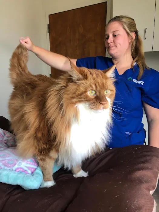 Double Oak Mountain Animal Hospital 10