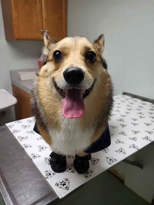 Cahaba Valley Animal Clinic 1