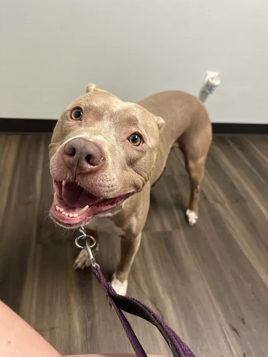 Cahaba Valley Animal Clinic 3