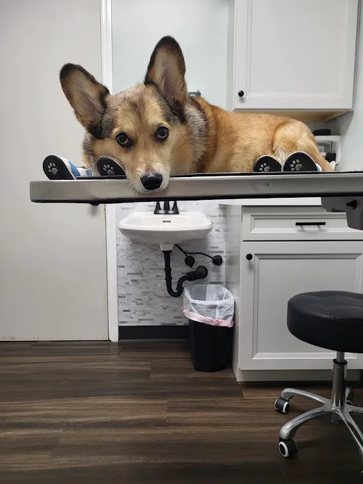 Cahaba Valley Animal Clinic 5