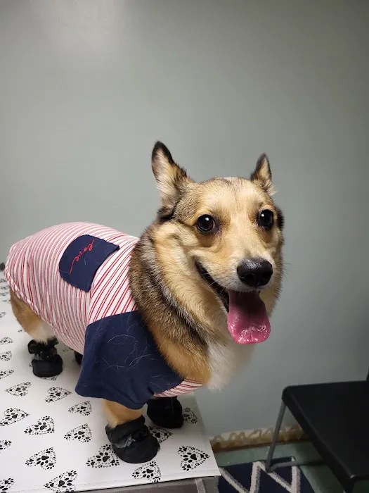 Cahaba Valley Animal Clinic 10