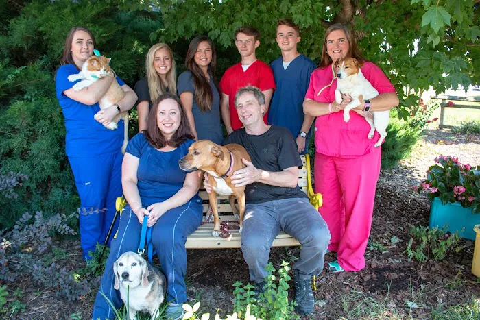 Meadow Brook Animal Clinic 4