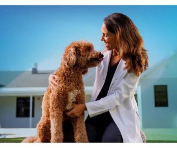 NewDay Veterinary Care