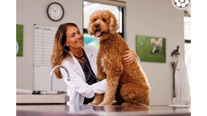 NewDay Veterinary Care 12
