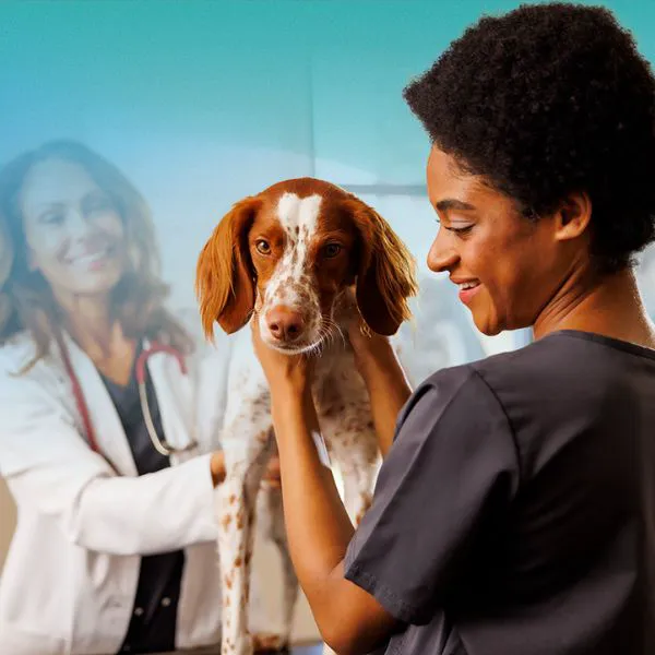 NewDay Veterinary Care 12