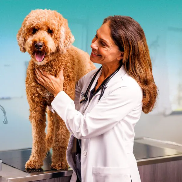NewDay Veterinary Care 12