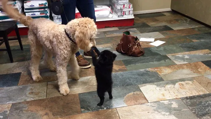 Valleydale Animal Clinic 12