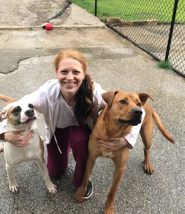 Valleydale Animal Clinic 12