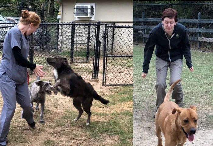 Valleydale Animal Clinic 12