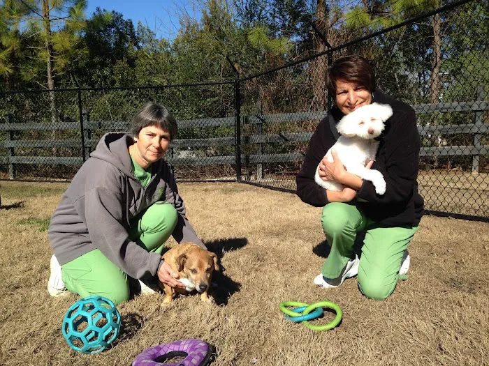 Valleydale Animal Clinic 12