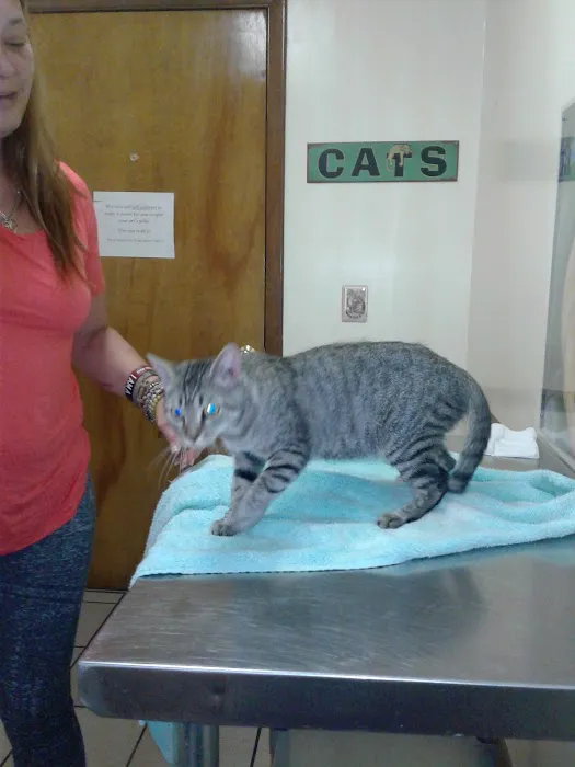 Sunset Animal Clinic 12