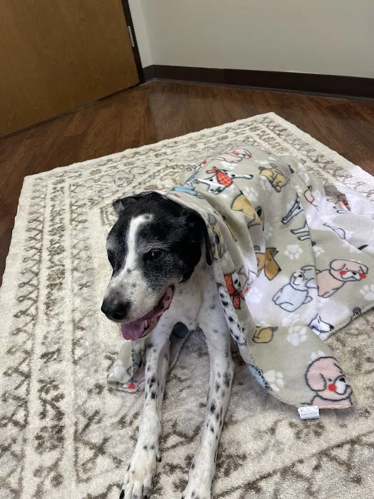 CVETS - Veterinary Urgent Care 12