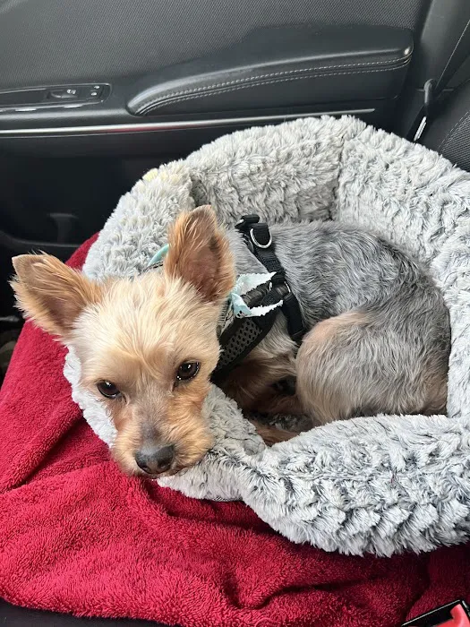 Van Crest Animal Hospital 12