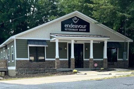 Endeavour Veterinary Group