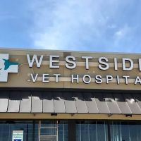 Westside Veterinary Hospital ico