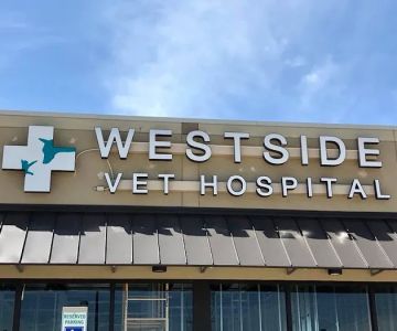 Westside Veterinary Hospital