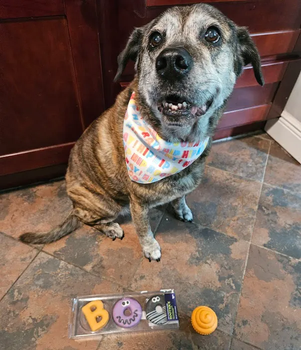 Westside Veterinary Hospital 10