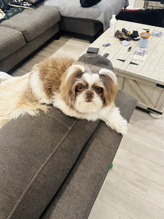 Quality Pet Care 12